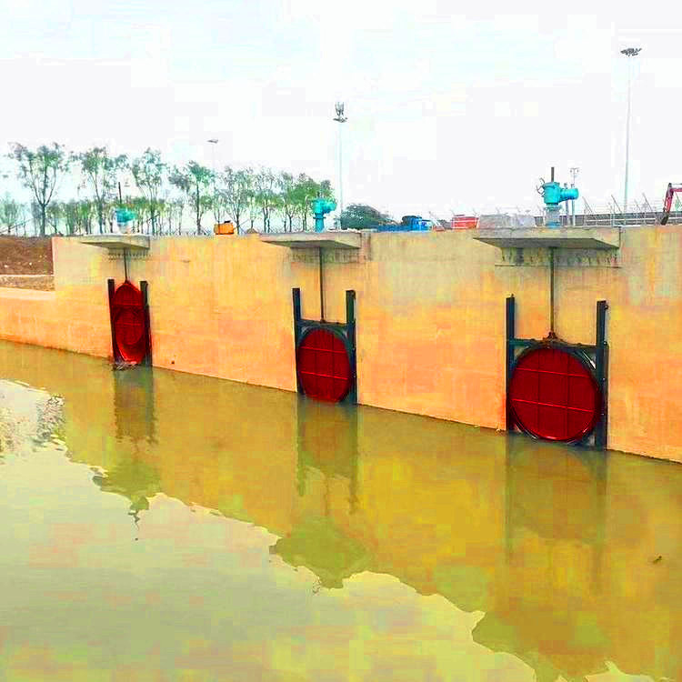 �T�F�A�l�T